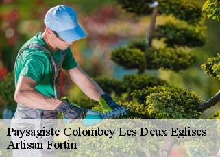 Paysagiste  colombey-les-deux-eglises-52330 Artisan Fortin