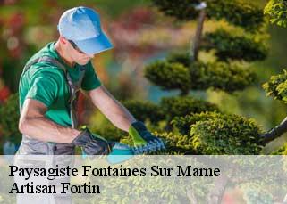 Paysagiste  fontaines-sur-marne-52170 Artisan Fortin