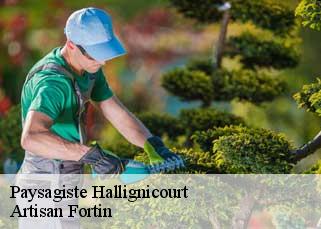 Paysagiste  hallignicourt-52100 Artisan Fortin