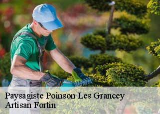Paysagiste  poinson-les-grancey-52160 Artisan Fortin