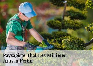 Paysagiste thol-les-millieres-52240 Artisan Fortin