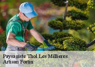 Paysagiste  thol-les-millieres-52240 Artisan Fortin