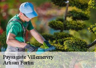 Paysagiste villemervry-52160 Artisan Fortin