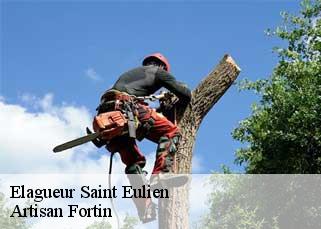 Elagueur  saint-eulien-52100 Artisan Fortin