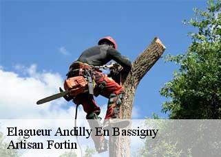 Elagueur  andilly-en-bassigny-52360 Artisan Fortin