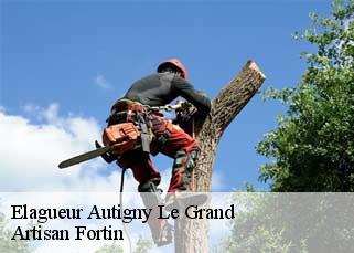 Elagueur  autigny-le-grand-52300 Artisan Fortin