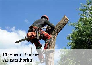 Elagueur  baissey-52250 Artisan Fortin