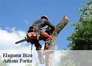 Elagueur  bize-52500 Artisan Fortin