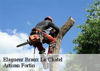 Elagueur  braux-le-chatel-52120 Artisan Fortin