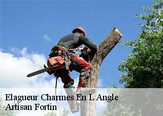 Elagueur  charmes-en-l-angle-52110 Artisan Fortin