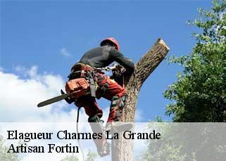 Elagueur  charmes-la-grande-52110 Artisan Fortin