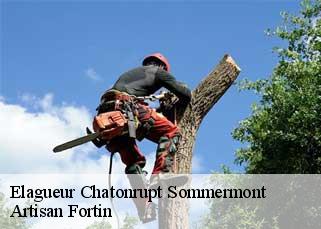 Elagueur  chatonrupt-sommermont-52300 Artisan Fortin