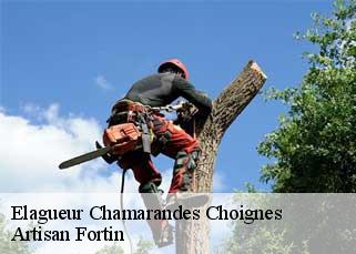 Elagueur  chamarandes-choignes-52000 Artisan Fortin