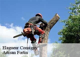 Elagueur  consigny-52700 Artisan Fortin