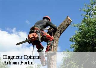 Elagueur  epinant-52140 Artisan Fortin