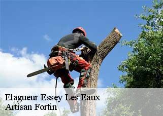 Elagueur  essey-les-eaux-52800 Artisan Fortin