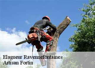 Elagueur  ravennefontaines-52140 Artisan Fortin