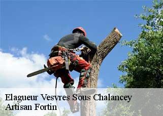 Elagueur  vesvres-sous-chalancey-52190 Artisan Fortin