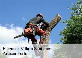 Elagueur  villars-santenoge-52160 Artisan Fortin