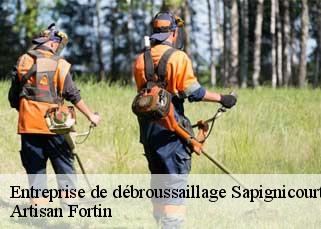 Entreprise de débroussaillage  sapignicourt-52100 Artisan Fortin