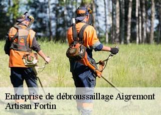 Entreprise de débroussaillage  aigremont-52400 Artisan Fortin