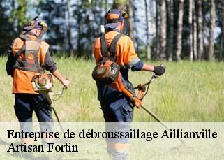 Entreprise de débroussaillage  aillianville-52700 Artisan Fortin