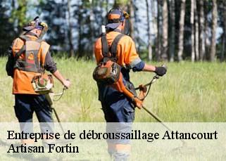 Entreprise de débroussaillage  attancourt-52130 Artisan Fortin