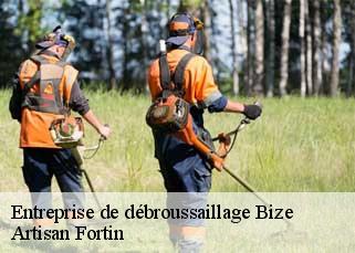 Entreprise de débroussaillage  bize-52500 Artisan Fortin