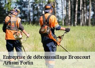 Entreprise de débroussaillage  broncourt-52500 Artisan Fortin