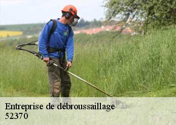 Entreprise de débroussaillage 52370