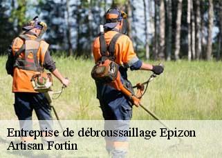 Entreprise de débroussaillage  epizon-52230 Artisan Fortin