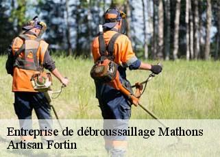 Entreprise de débroussaillage  mathons-52300 Artisan Fortin