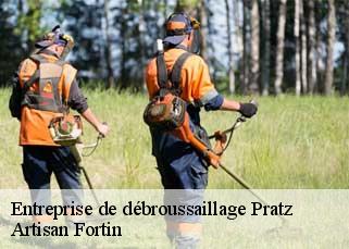 Entreprise de débroussaillage  pratz-52330 Artisan Fortin