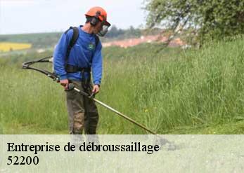 Entreprise de débroussaillage 52200