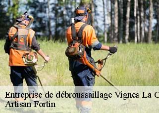Entreprise de débroussaillage  vignes-la-cote-52700 Artisan Fortin