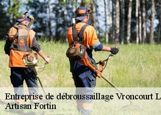 Entreprise de débroussaillage  vroncourt-la-cote-52240 Artisan Fortin