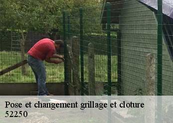 Pose et changement grillage et cloture  52250